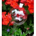 12 Durstkugeln Bewsserungskugeln mit Silikonstopfen 8 cm Durstkugel Pflanzensitter DKMS Bild 1