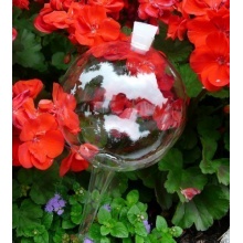 12 Durstkugeln Bewsserungskugeln mit Silikonstopfen 8 cm Durstkugel Pflanzensitter DKMS Bild 1