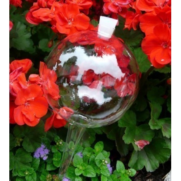 8 Durstkugeln Bewässerungskugeln mit Silikonstopfen 8 cm Durstkugel Pflanzensitter DKMS Bild 1