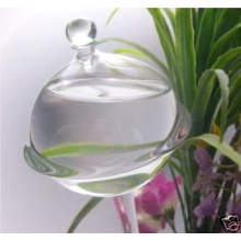 Pflanzensitter Durstkugel Bewsserungskugel klar mit Glas-Stopfen - gedrckter Rand ca.11cm Bild 1