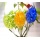Tolle Pflanzensitter: Bewsserungsolive - farbig 3 Stck Bild 1
