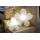 8Seasons Shining Flower  40 cm, wei 32404 Bild 4