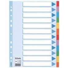 Leitz Kartonregister Standard Blanko Bild 1