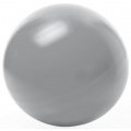 TOGU Gymnastikball ABS 65 cm Silber Bild 1