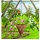 Gardman 2049 Rustikale konische Blumenampel, 30 cm Bild 2