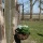 Landhaus Blumenampel aus Gusseisen und Kokos  25cm Bild 3