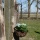 Landhaus Blumenampel aus Gusseisen und Kokos  25cm Bild 5