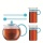 Bodum Assam Tee Set, Tea Set, Teebereiter 1,0l  Bild 1