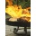 Feuerschale Pan 32, 60cm, Grillstelle von Farmcook Bild 4