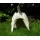 Figur halber Hund H 25 x L 33 cm Gartendeko aus Kunstharz Bild 4
