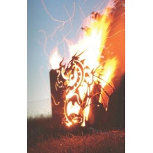 Edelrost Feuerkorb Drache viereck mit Ascheablass 65cm FA10187 Bild 1