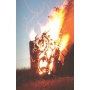 Edelrost Feuerkorb Drache viereck mit Ascheablass 65cm FA10187 Bild 1