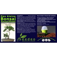 Seedeo Bonsai Anzuchtset Schlafbaum / Seidenakazie Bild 1