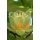 Seedeo Anzuchtset Tulpenbaum (Liriodendron tulipifera) Bild 1