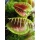 Seedeo Anzuchtset Venus Fliegenfalle Dionaea muscipula Bild 3