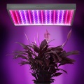 LED-Pflanzenlampe 14Watt mit 225 LEDs von Jago Bild 1