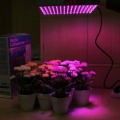 Golden Tulip Pflanzenlampe 225 LEDs 15W 26227B Bild 1