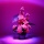 Golden Tulip Wachstumslampe Pflanzenlampe 225 LEDs 15W Bild 1