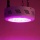 Galaxyhydro LED UFO 138w IR-Licht Pflanzenlampe Bild 5