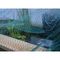 Teichnetz 5 x 6m, Gartennetz, Vogelschutznetz von GEBO Bild 1