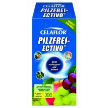 Celaflor  Pilzbekmpfung Ectivo - 250 ml Bild 1