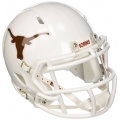 Riddell Replica Mini Speed Helmet Gesichtsschoner Football Bild 1