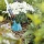 Gardena 8931-20 cs-Blumenkelle, 8,5 cm breit Bild 3