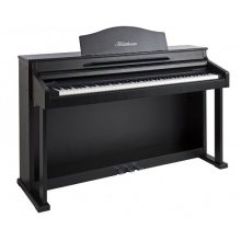 Blthner Modell 1 Lack satiniert schwarz e-Klavier  Bild 1