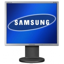 Samsung 48,3 cm 19 Zoll Business Monitor VGA DVI-D Bild 1