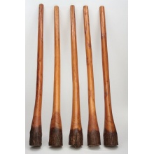 Four Elements Jackfruit Baum Holz Didgeridoo Bild 1