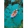 Sevylor Kajak Tahiti Plus 385 X 90 cm blau/rot/grau Bild 3