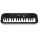 Casio SA-47 Mini Keyboard Bild 1