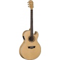 Washburn EA40SCE Cutaway Jumbo Acoustic Gitarre Bild 1