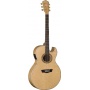 Washburn EA40SCE Cutaway Jumbo Acoustic Gitarre Bild 1