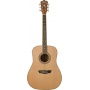 Washburn WD10 Acoustic Guitar Bild 1