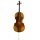 tolles Einsteiger Cello Bild 1