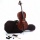 MENZEL Cello CL501 im SET Bild 1