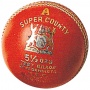 GM Erwachsenen-Cricketball County Star Bild 1
