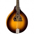  Luna Bluegrass Trinity A-Style Mandoline  Bild 1