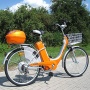Actionbikes Elektro Fahrrad E-Bike 36V 250W orange Bild 1