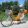 Actionbikes Elektro Fahrrad E-Bike 36V 250W orange Bild 2