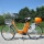 Actionbikes Elektro Fahrrad E-Bike 36V 250W orange Bild 4