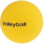 Sport-Thieme Volleyball Bild 1