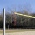 Wallenreiter Volleyballnetz Dralo (Stck) Bild 1